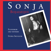 Flundror På Vintern