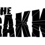 This Band  Will Self - Destruct ...