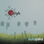 Darıldı Şans by Peyk