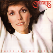 Voice Of The Heart