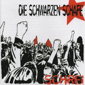 Schrei EP