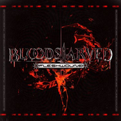 FLESHWOUND