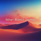 Velvet Moonlit Journey