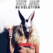 WHYT RBBT: Revolution