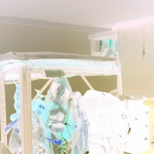 A Unified Idea Spilt Into Meaningless Pieces