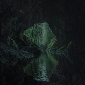 01; Botanical Cavern