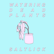 WATERING DEAD PLANTS