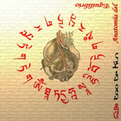 Anatomi­a del Equilibrio