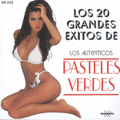 Los 20 Grandes éxitos
