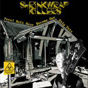 Feral Rats Have Become Our Only Pets