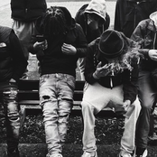 Basic fit (Ksmoke Version)