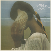 Catamaran by Allah-las