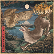 Death of a Shadow - Single