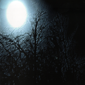 Spirit Of Faceless Time