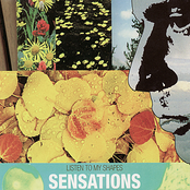 Winds Of Emotion by Sensations