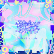 immature scar (feat. somunia)