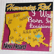 I Was Born In Louisana