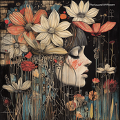 The Sound Of Flowers