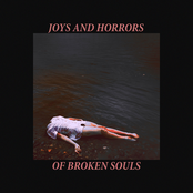 Joys and Horrors of Broken Souls