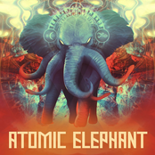 Atomic Elephant - EP