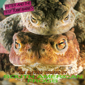 One Night Stand by Peter And The Test Tube Babies