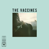 Tiger Blood by The Vaccines