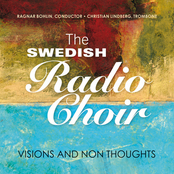 Ragnar Bohlin: Visions and Non Thoughts