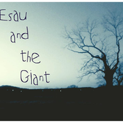 Untitled Album