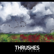 Weather Vane by Thrushes