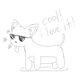 trendy dog with sunglasses