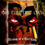 Bed Of Nails by Big Electric Cat