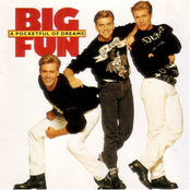 Can't Shake The Feeling by Big Fun