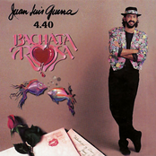 Juan Luis Guerra: Bachata Rosa