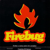 Firebug: Firebug