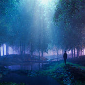 My Tears Make The Light Fracture