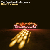 Who Called The Dandy? by The Sunshine Underground