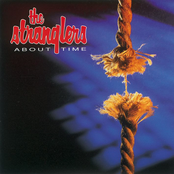 Money by The Stranglers