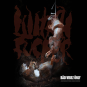 Bäd Vibez Önly - Aufarbeitung einer Krise