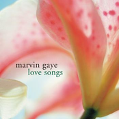 I Live For You by Marvin Gaye
