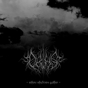 Where Shadows Gather