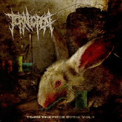 Torn Open: TORN THE FUCK OPEN, Vol. 1