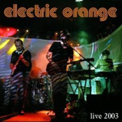 Frunsn by Electric Orange