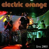 Myd by Electric Orange