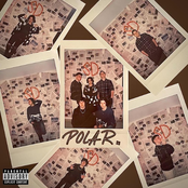Polar