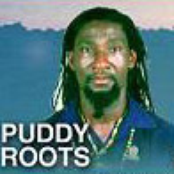 puddy roots