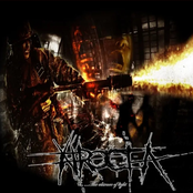 The Absence of Light