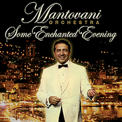 I Just Called To Say I Love You by The Mantovani Orchestra