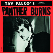 Tav Falco's Panther Burns: Behind The Magnolia Curtain