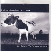 Zu Hart Fur's Sauerland