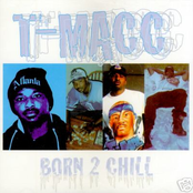 t-macc